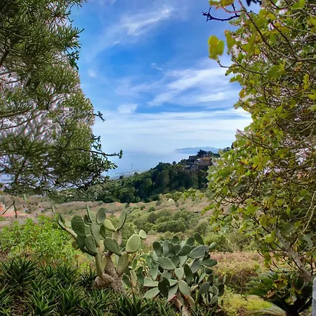 La Casita Del Lagar * Icod De Los Vinos